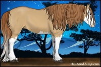 Horse Color:Red Dun Splash 
