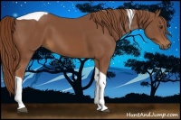 Horse Color:Chestnut Tobiano 