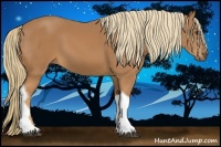 Horse Color:Chestnut Tobiano