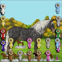 Horse Color:Liver Chestnut Mushroom Appaloosa 