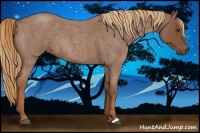 Horse Color:Red Roan Rabicano 