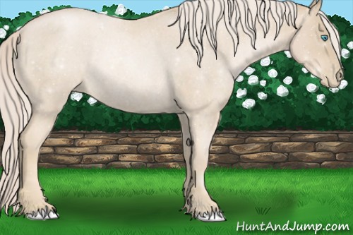 Horse Color:Palomino Roan Pearl Rabicano