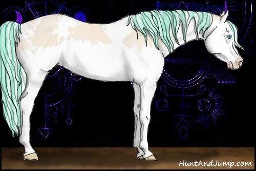 Horse Color:Painted White Spotted Cremello Splash 