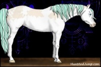 Horse Color:Painted White Spotted Cremello Splash 