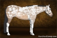 Horse Color:Bay Ice Dun Tobiano Rabicano 