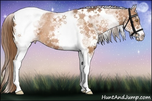 Horse Color:White Spotted Bay Pearl Tobiano 