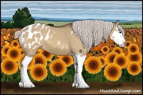 Horse Color:Silver Brown Dun Splash Appaloosa 