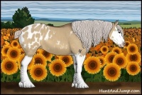 Horse Color:Silver Brown Dun Splash Appaloosa 