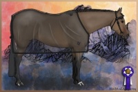 Horse Color:Brown Dun 