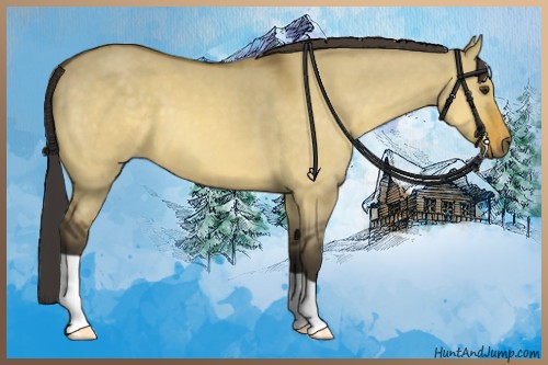 Horse Color:Buckskin Dun 