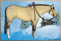 Horse Color:Buckskin Dun 