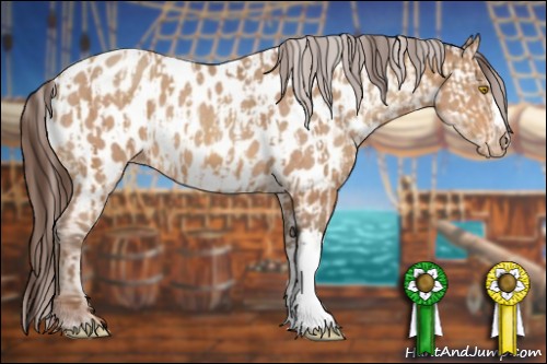 Horse Color:Amber Champagne Appaloosa  and Amber Champagne Appaloosa 
