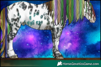 Horse Color:Painted White Spotted Gold Champagne Ice Roan Pearl Dun Splash Appaloosa Rabicano and Painted White Spotted Bay Appaloosa