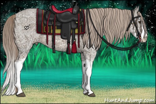 Horse Color:Chocolate Palomino Ice Splash 