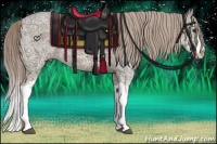 Horse Color:Chocolate Palomino Ice Splash 