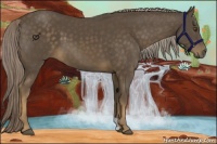 Horse Color:Chocolate Palomino 