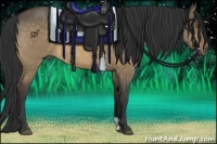 Horse Color:Buckskin Dun 