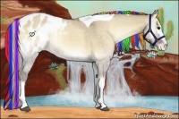 Horse Color:Painted White Spotted Silver Buckskin Onyx Tobiano Blanket 