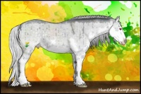 Horse Color:Silver Classic Champagne Chinchilla Dun Splash 