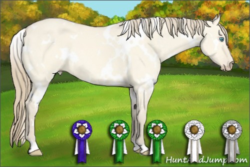 Horse Color:White Spotted Perlino Dun 