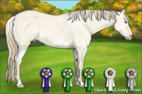 Horse Color:White Spotted Perlino Dun 