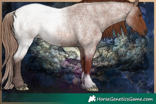 Horse Color:Red Roan 