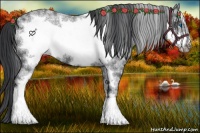 Horse Color:White Spotted Blue Roan Frame