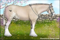 Horse Color:Silver Buckskin Pearl Sabino