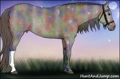 Horse Color:Nacre Grullo Roan