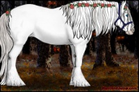 Horse Color:White Spotted Silver Brown Onyx Splash