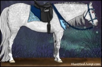 Horse Color:Silver Grullo Chinchilla Ice Roan Rabicano