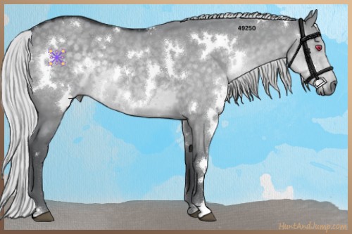 Horse Color:White Spotted Silver Grullo Chinchilla 