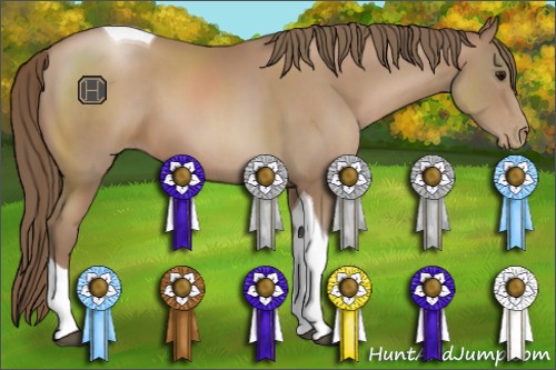 Horse Color:Black Pearl Sabino Tobiano