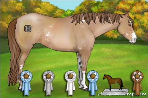 Horse Color:Brown Pearl Sabino Rabicano 