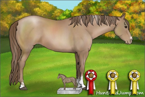 Horse Color:Black Pearl Sabino 