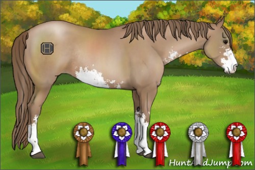 Horse Color:Black Pearl Sabino Rabicano 