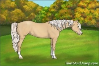 Horse Color:Silver Sable Cream Champagne Sabino 