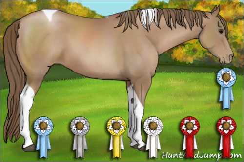 Horse Color:Black Pearl Tobiano 