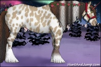 Horse Color:Classic Champagne Dun Appaloosa Brindle 