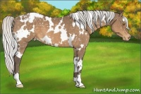 Horse Color:White Spotted Silver Buckskin Snowflake Varnish