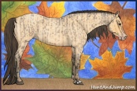 Horse Color:Buckskin Roan and Amber Cream Champagne Roan