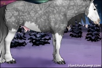 Horse Color:Blue Ice Roan Sabino Splash 
