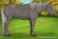 Horse Color:Silver Black 