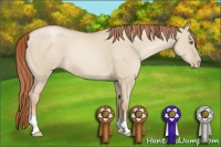 Horse Color:Smoky Grullo Pearl 