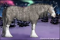 Horse Color:Silver Grullo Ice Roan Sabino Splash Rabicano  and Grullo Roan Sabino Splash Rabicano 