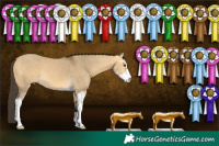 Horse Color:Buckskin Dun Sabino 