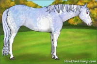 Horse Color:Watercolor White Spotted Silver Grullo Chinchilla Ice 