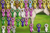 Horse Color:Smoky Grullo Pearl 