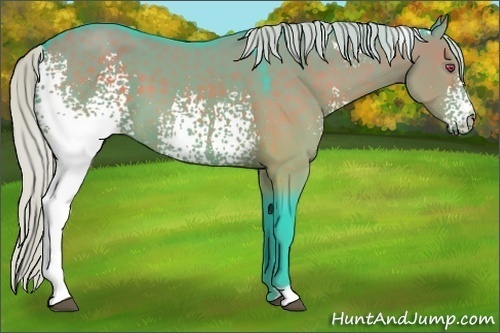 Horse Color:Watercolor White Spotted Silver Grullo Chinchilla 