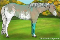 Horse Color:Watercolor White Spotted Silver Grullo Chinchilla 
